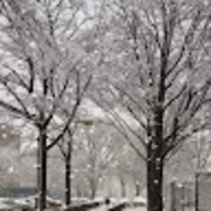 Meet your Posher, Abdul